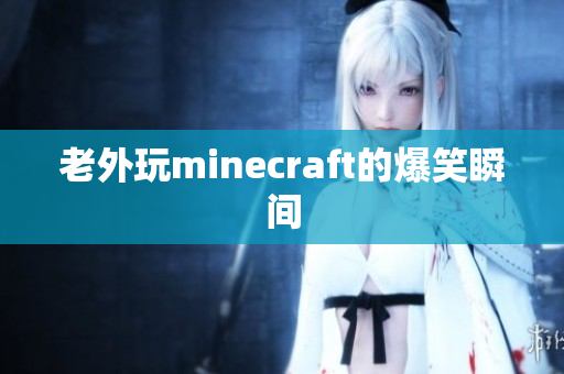 老外玩minecraft的爆笑瞬间