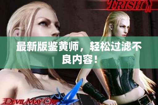 最新版鉴黄师，轻松过滤不良内容！