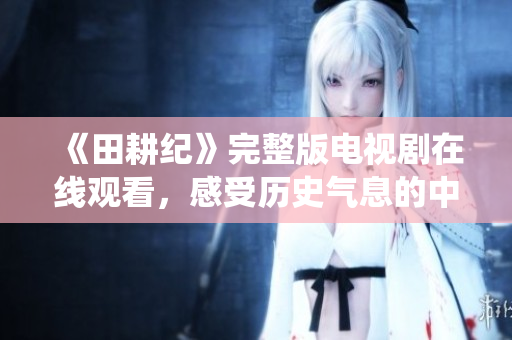《田耕纪》完整版电视剧在线观看，感受历史气息的中国传统史诗。