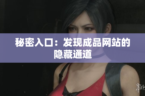 秘密入口：发现成品网站的隐藏通道