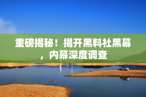 重磅揭秘！揭开黑料社黑幕，内幕深度调查