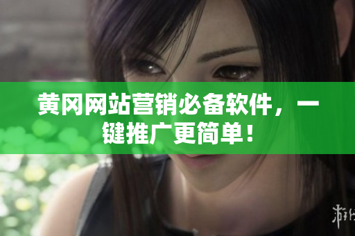 黄冈网站营销必备软件，一键推广更简单！