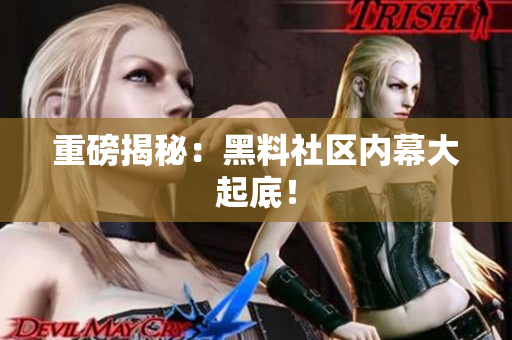 重磅揭秘：黑料社区内幕大起底！