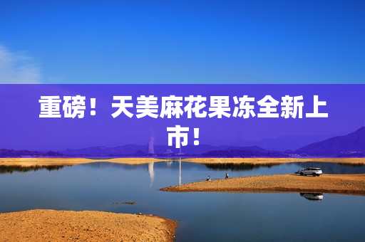 重磅！天美麻花果冻全新上市！