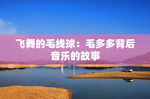 飞舞的毛线球：毛多多背后音乐的故事