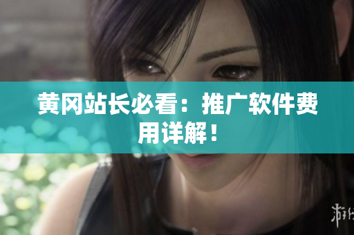 黄冈站长必看：推广软件费用详解！