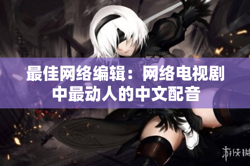 最佳网络编辑：网络电视剧中最动人的中文配音