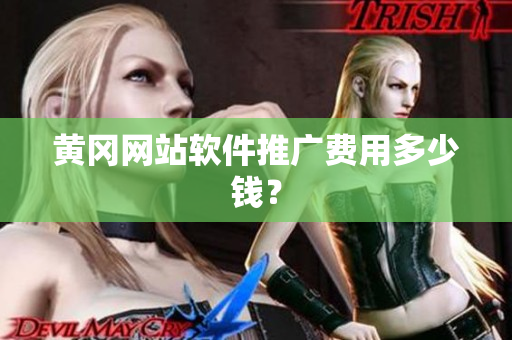 黄冈网站软件推广费用多少钱？