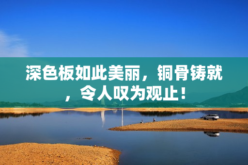 深色板如此美丽，铜骨铸就，令人叹为观止！