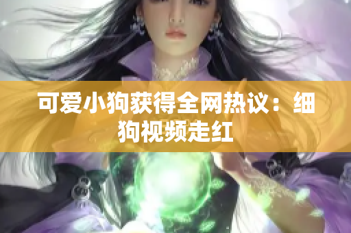 可爱小狗获得全网热议：细狗视频走红