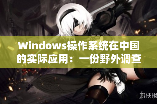 Windows操作系统在中国的实际应用：一份野外调查报告