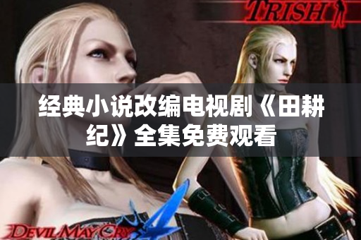经典小说改编电视剧《田耕纪》全集免费观看
