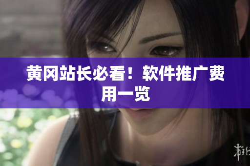 黄冈站长必看！软件推广费用一览