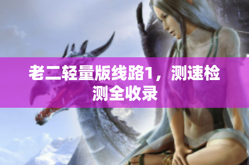 老二轻量版线路1，测速检测全收录