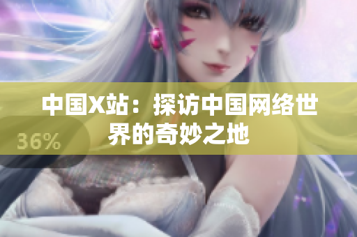 中国X站：探访中国网络世界的奇妙之地