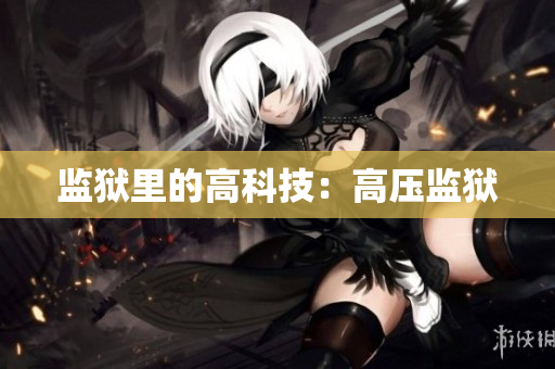 监狱里的高科技：高压监狱