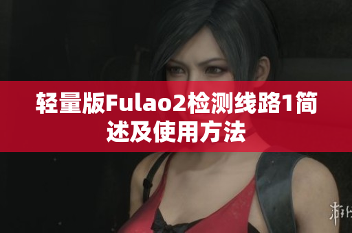 轻量版Fulao2检测线路1简述及使用方法