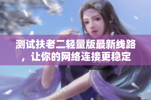 测试扶老二轻量版最新线路，让你的网络连接更稳定
