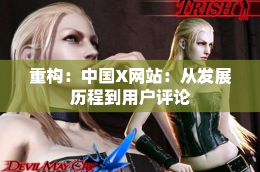 重构：中国X网站：从发展历程到用户评论