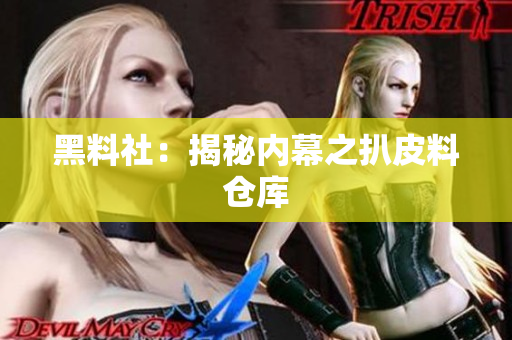 黑料社：揭秘内幕之扒皮料仓库