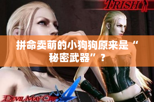 拼命卖萌的小狗狗原来是“秘密武器”？