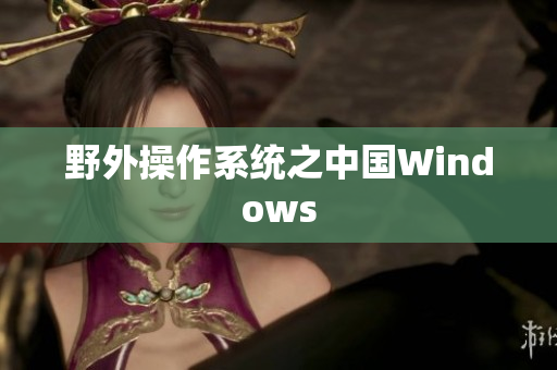 野外操作系统之中国Windows