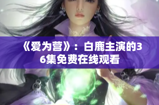 《爱为营》：白鹿主演的36集免费在线观看