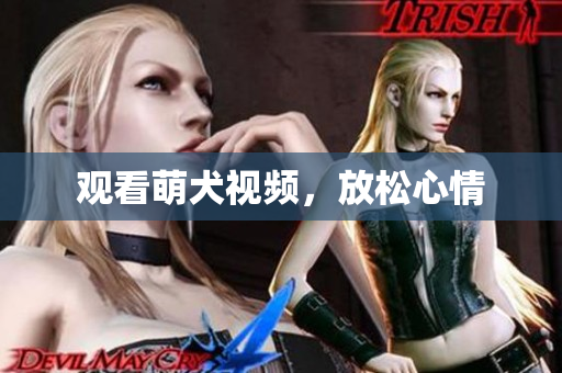 观看萌犬视频，放松心情