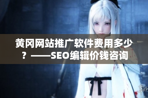 黄冈网站推广软件费用多少？——SEO编辑价钱咨询