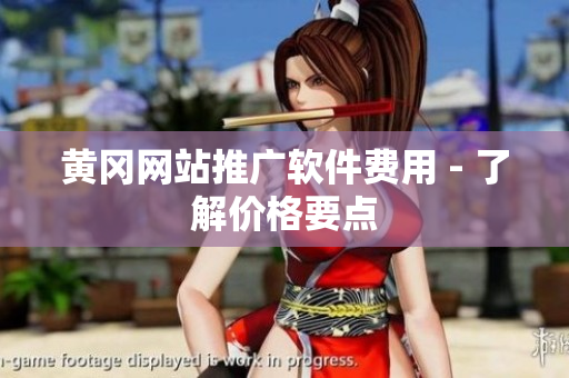 黄冈网站推广软件费用 - 了解价格要点
