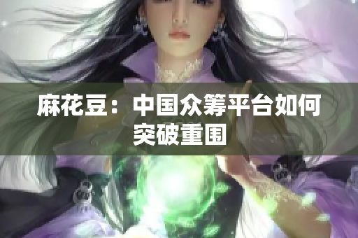 麻花豆：中国众筹平台如何突破重围