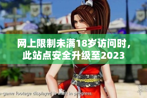 网上限制未满18岁访问时，此站点安全升级至2023