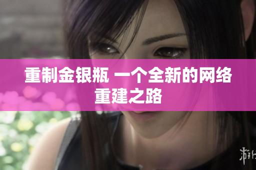 重制金银瓶 一个全新的网络重建之路