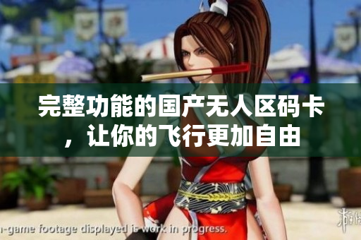 完整功能的国产无人区码卡，让你的飞行更加自由