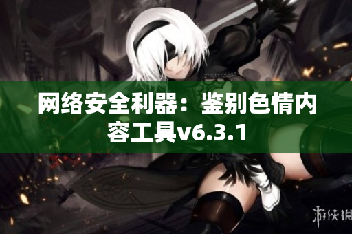 网络安全利器：鉴别色情内容工具v6.3.1