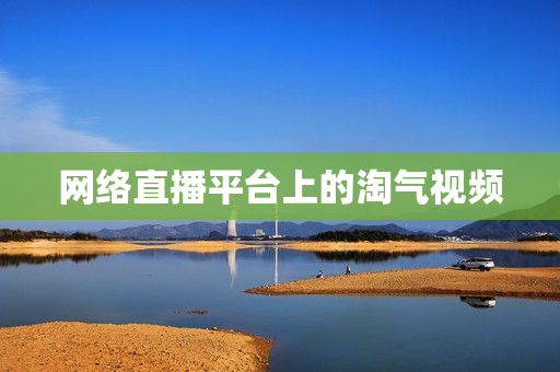 网络直播平台上的淘气视频