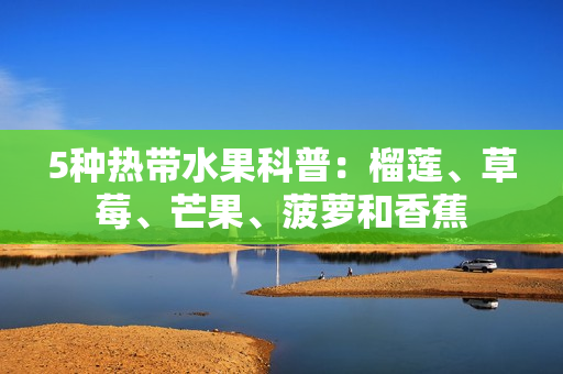 5种热带水果科普：榴莲、草莓、芒果、菠萝和香蕉