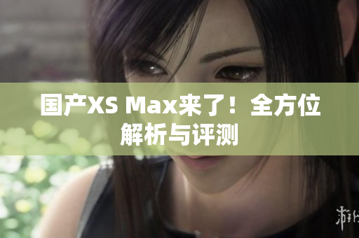 国产XS Max来了！全方位解析与评测