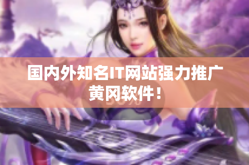 国内外知名IT网站强力推广黄冈软件！