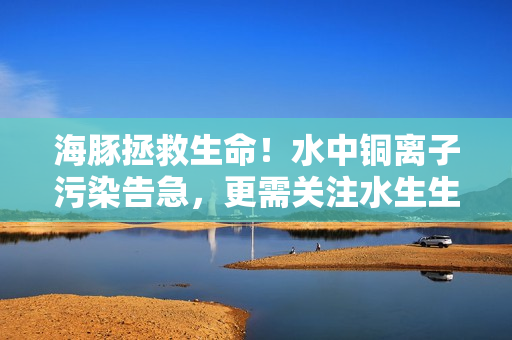 海豚拯救生命！水中铜离子污染告急，更需关注水生生态！