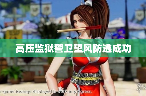 高压监狱警卫望风防逃成功