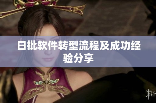 日批软件转型流程及成功经验分享