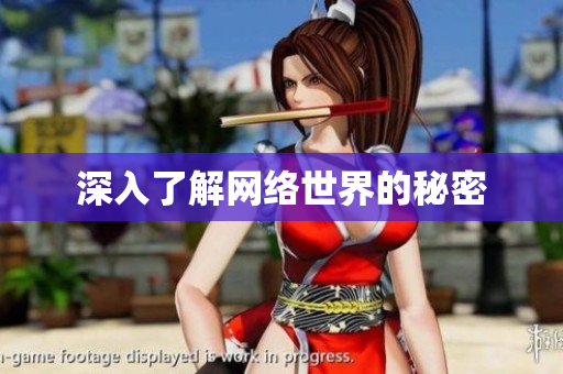 深入了解网络世界的秘密