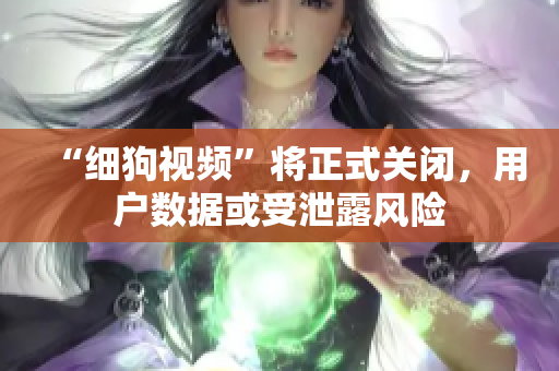 “细狗视频”将正式关闭，用户数据或受泄露风险
