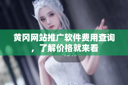 黄冈网站推广软件费用查询，了解价格就来看