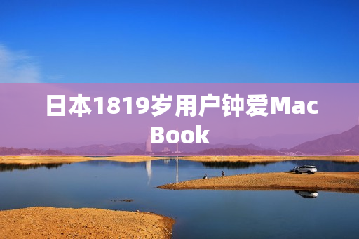 日本1819岁用户钟爱MacBook