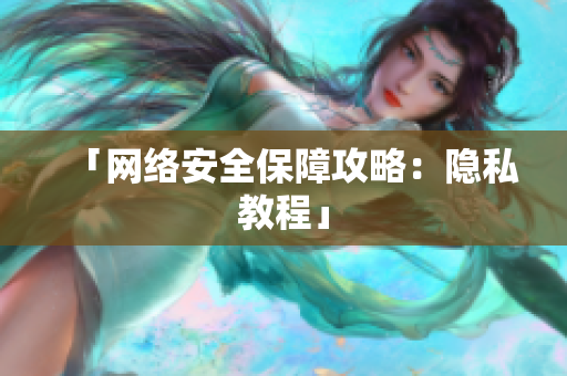 「网络安全保障攻略：隐私教程」