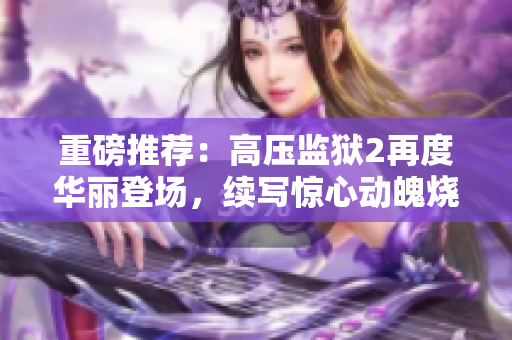 重磅推荐：高压监狱2再度华丽登场，续写惊心动魄烧脑剧情