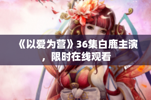 《以爱为营》36集白鹿主演，限时在线观看