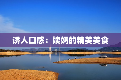 诱人口感：姨妈的精美美食